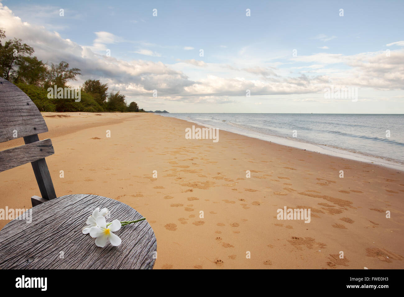 frangipani flowers on old wooden chair on sand beach Stock Photo