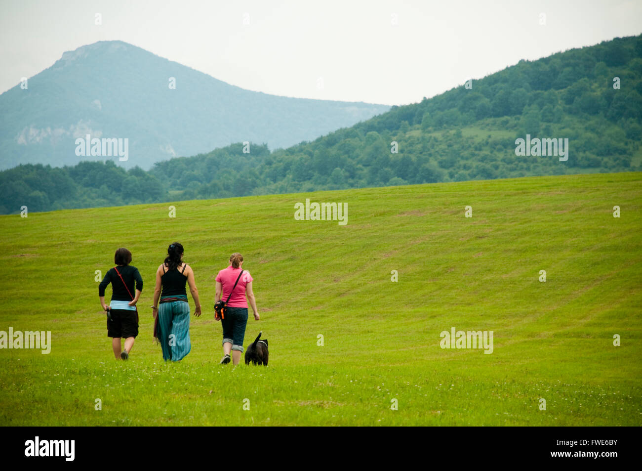 Three girls and a dog on a walk in nature Stock Photo - Alamy