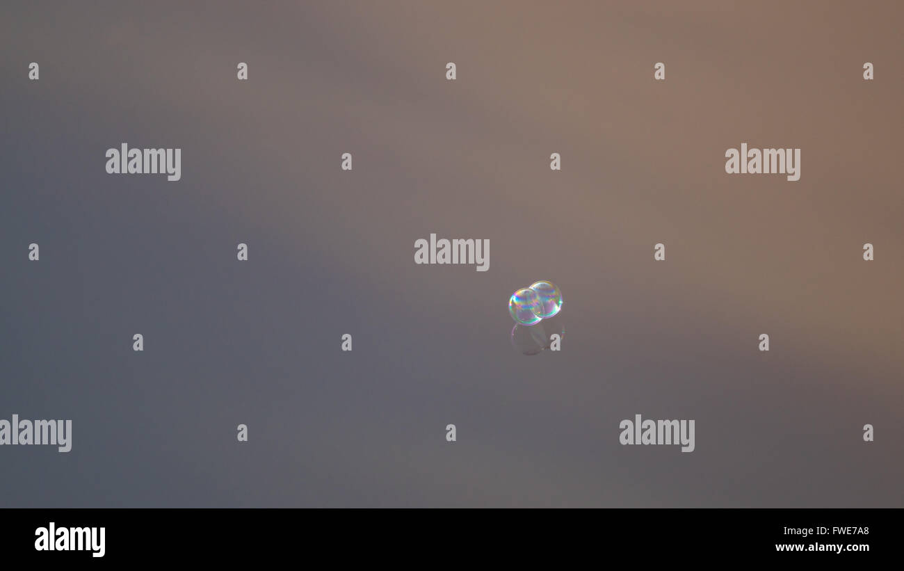 Soap bubble float in water Stock Photo Alamy