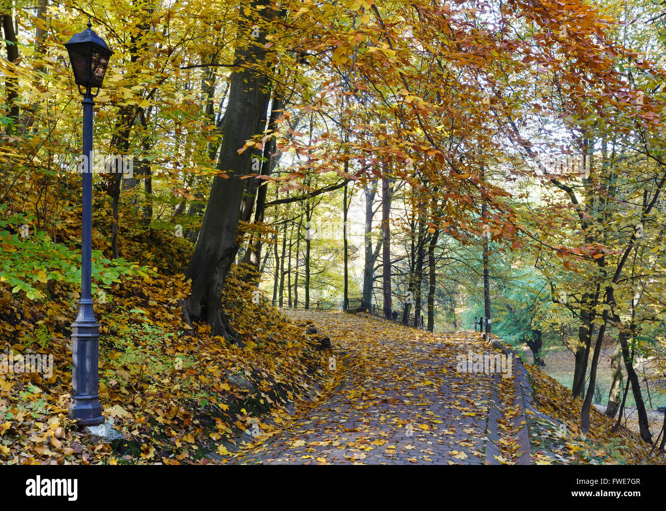 Autumn city park with paths strewn with yellow leaves Stock Photo - Alamy