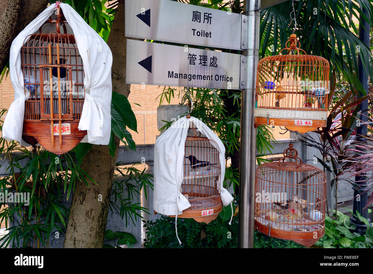 Birds, cages and equipment, bird market, Kowloon, Hongkong, China Stock