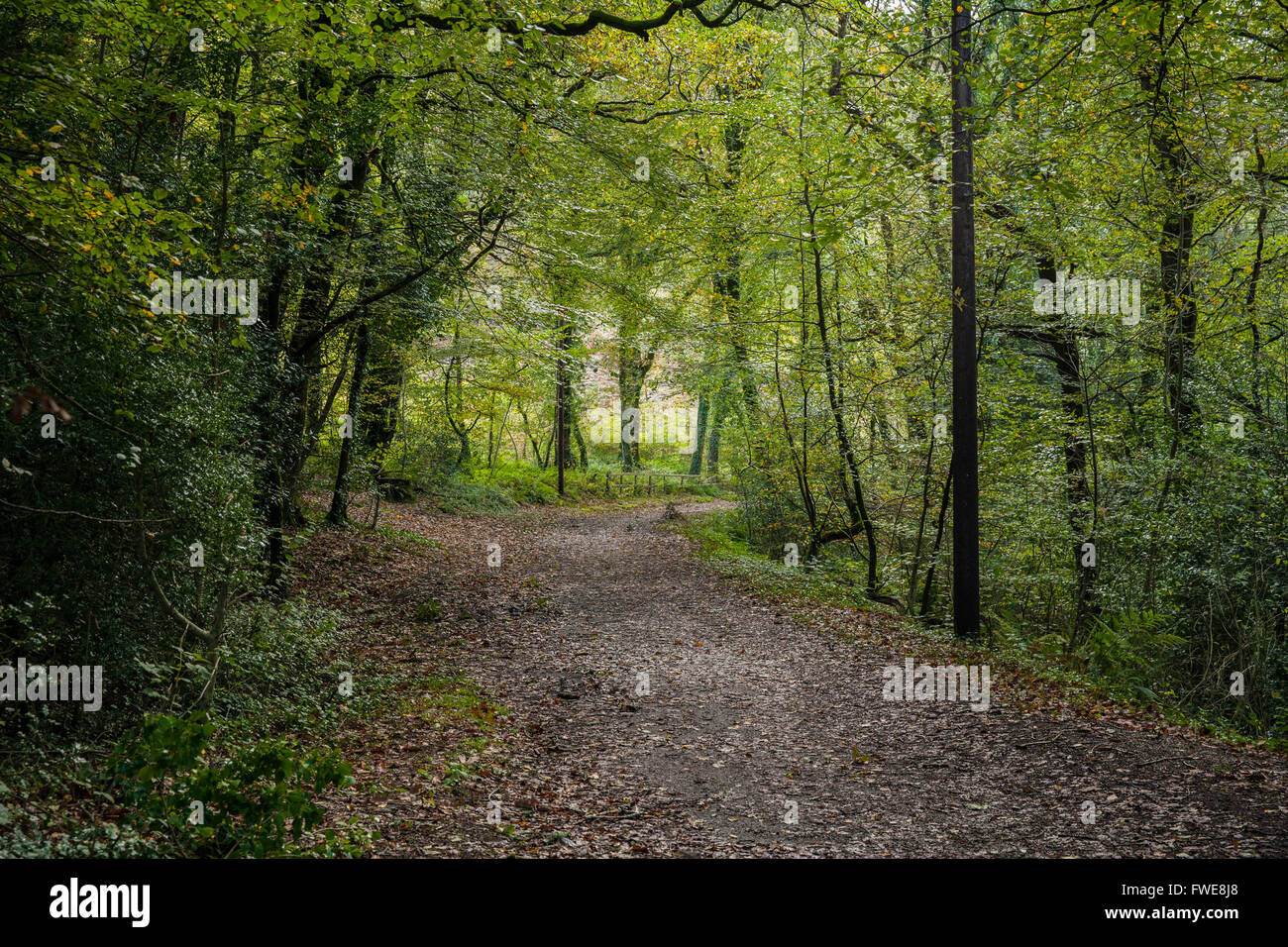 Cornwall camel trail cycle hi-res stock photography and images - Alamy