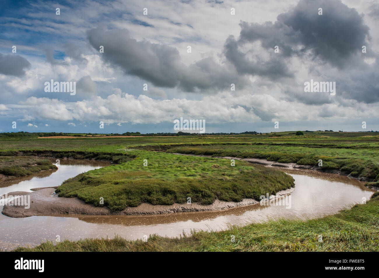 Barnaby's Sand Marsh a SSSI on The River Wyre Estuary Lancashire Stock Photo