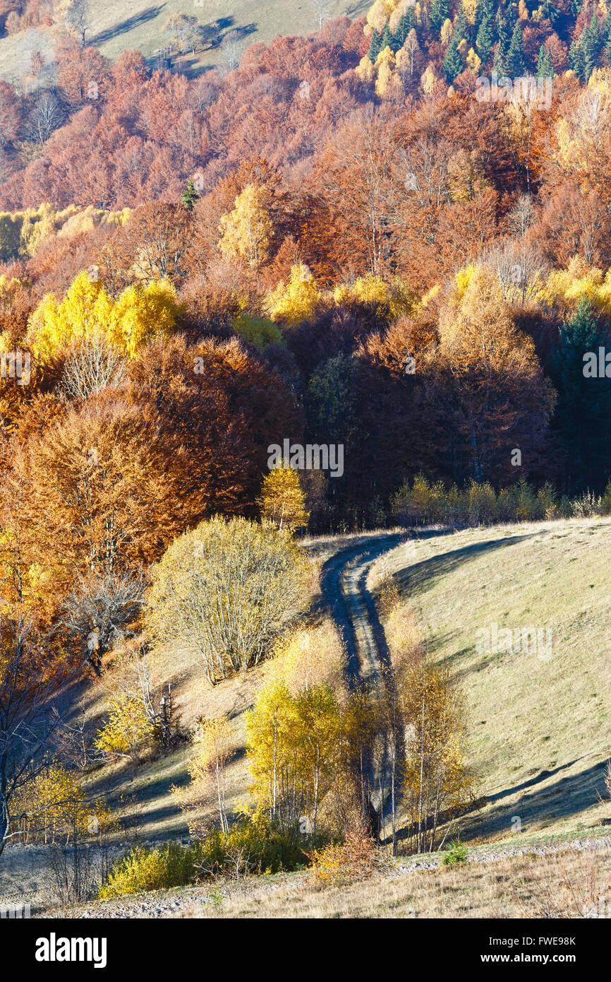 Rural road in autumn mountain and colorful trees on slope Stock Photo ...