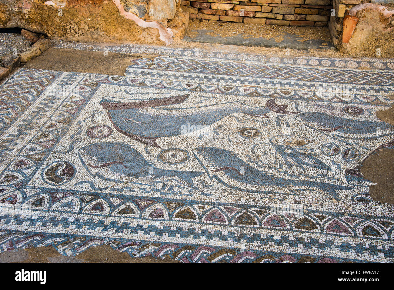 Ancient Roman mosaics at the Vila Romana de Milreu, near Faro, Algarve, Portugal. Stock Photo