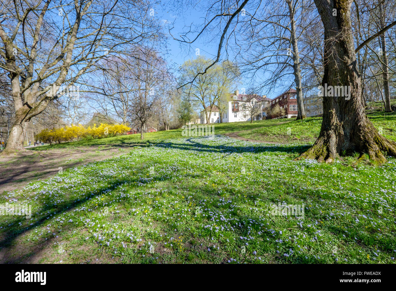 Sweeden Spring Sweden spring hi-res stock photography and images - Alamy