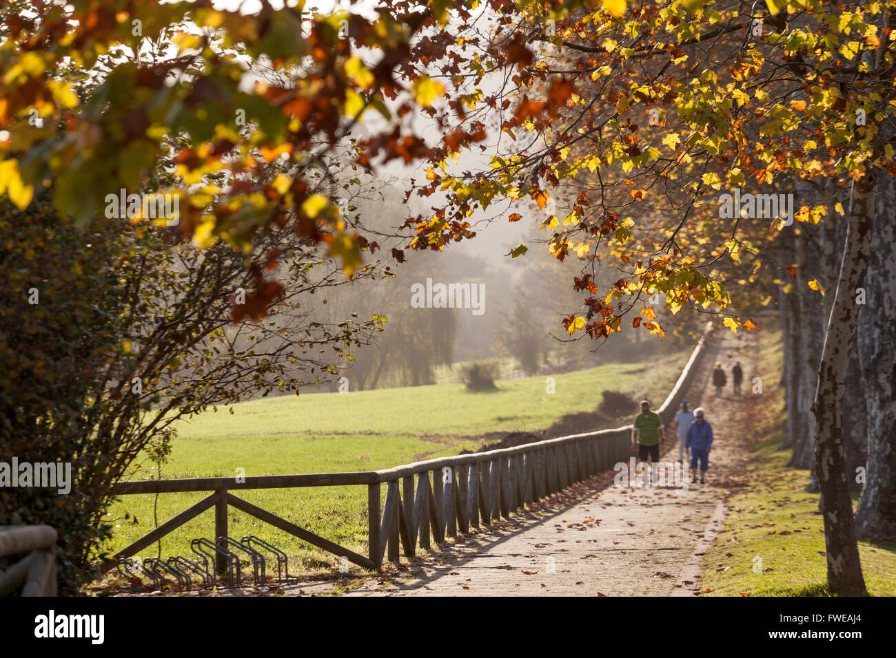 PEOPLE WALKING IN A PARK IN AUTUMN Stock Photo - Alamy