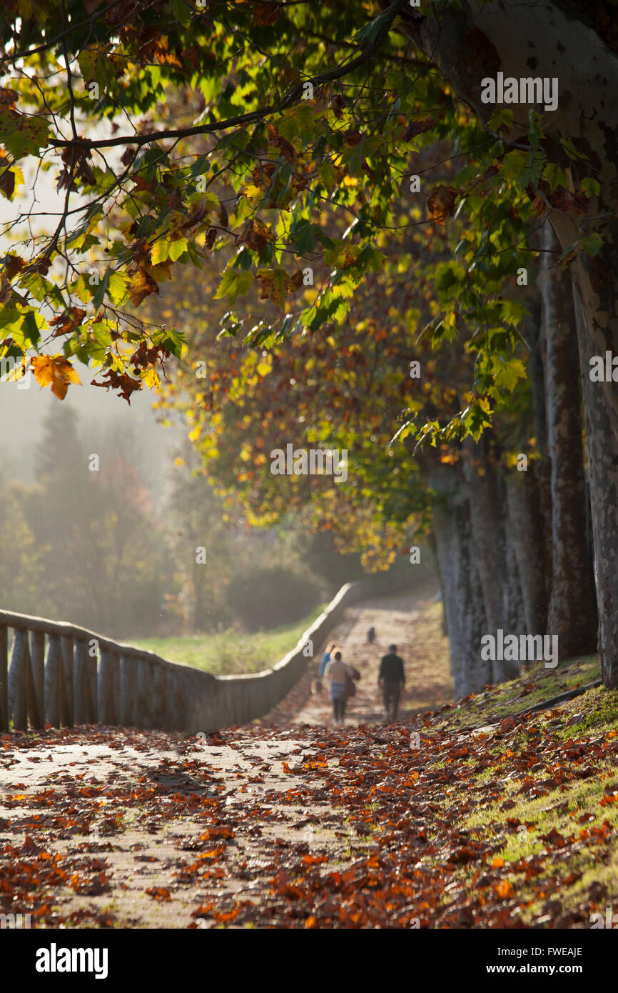 PEOPLE WALKING IN PARK IN AUTUM Stock Photo