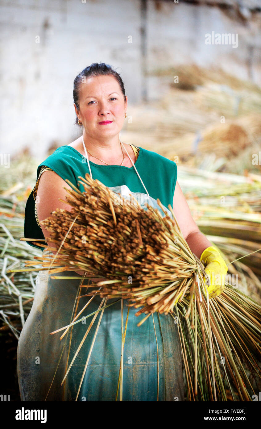 Attractive female wearing rubber gloves holds a stack of freshly cut bulrushes while staring at the camera Stock Photo