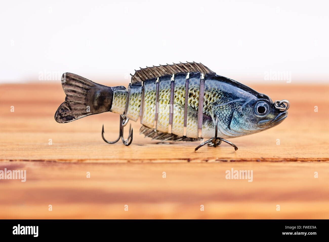 Fishing worms hi-res stock photography and images - Alamy