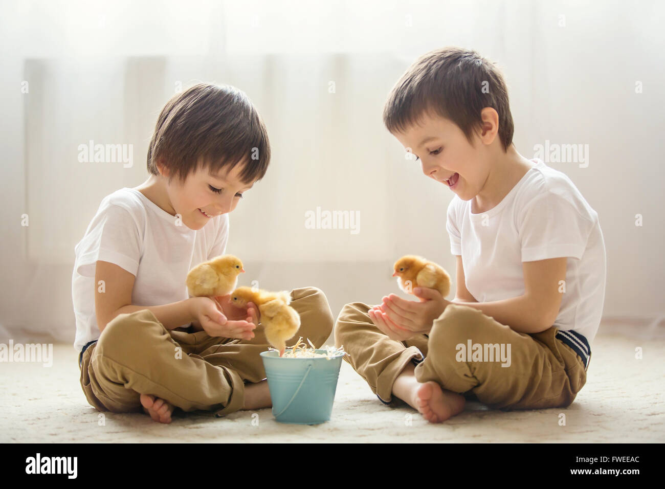 Two sweet little children, preschool boys, brothers, playing with ...