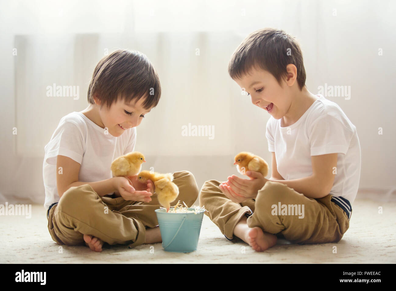 Two sweet little children, preschool boys, brothers, playing with