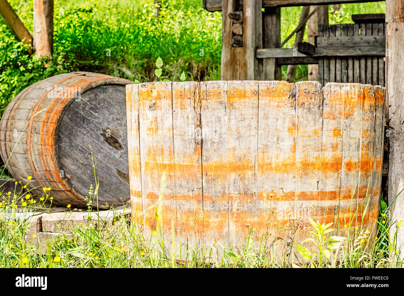 Old wood barrel used for stomping or crushing grapes. Stock Photo