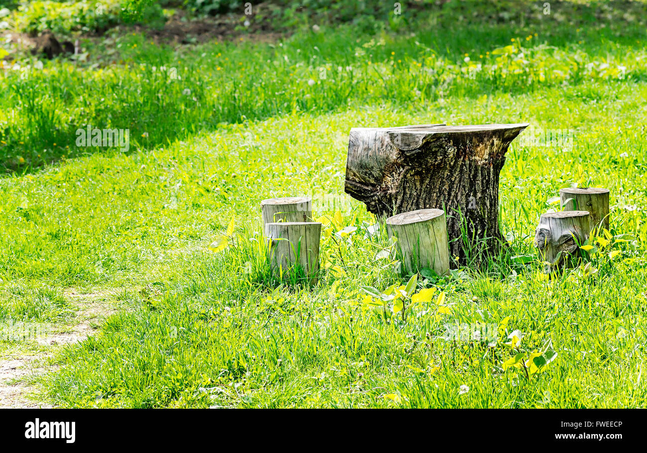 Picnic table and chairs made of cut tree trunks Stock Photo Alamy