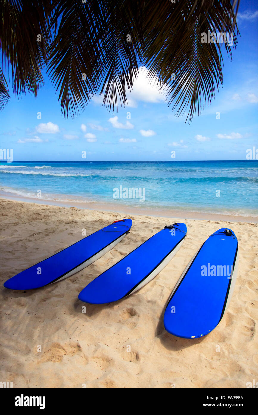 Surfboards at Dover beach on island Barbados on sandy shore by ocean