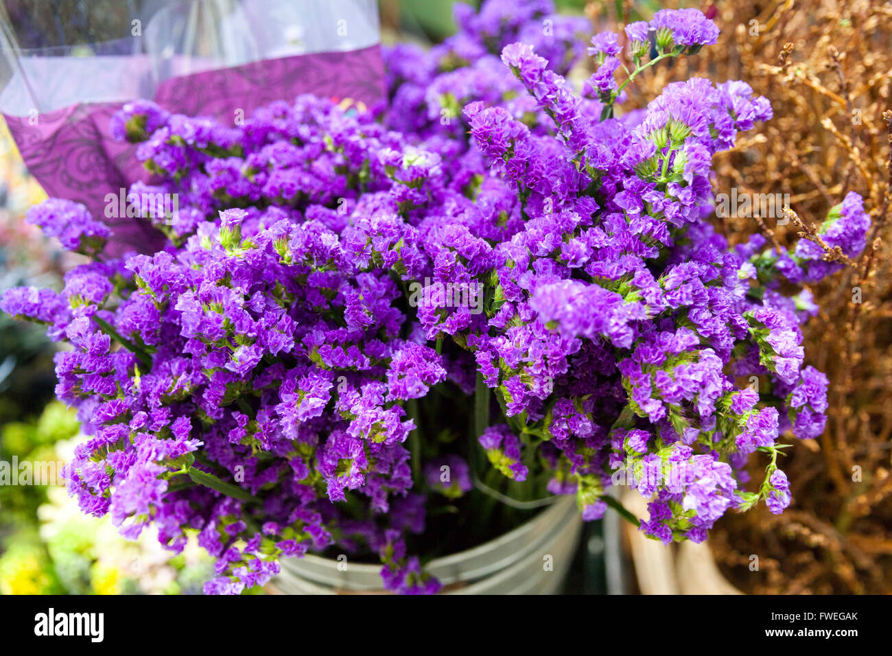 Bunch of fresh purple statice flowers, also called sea-lavender (limonium), at market stall Stock Photo