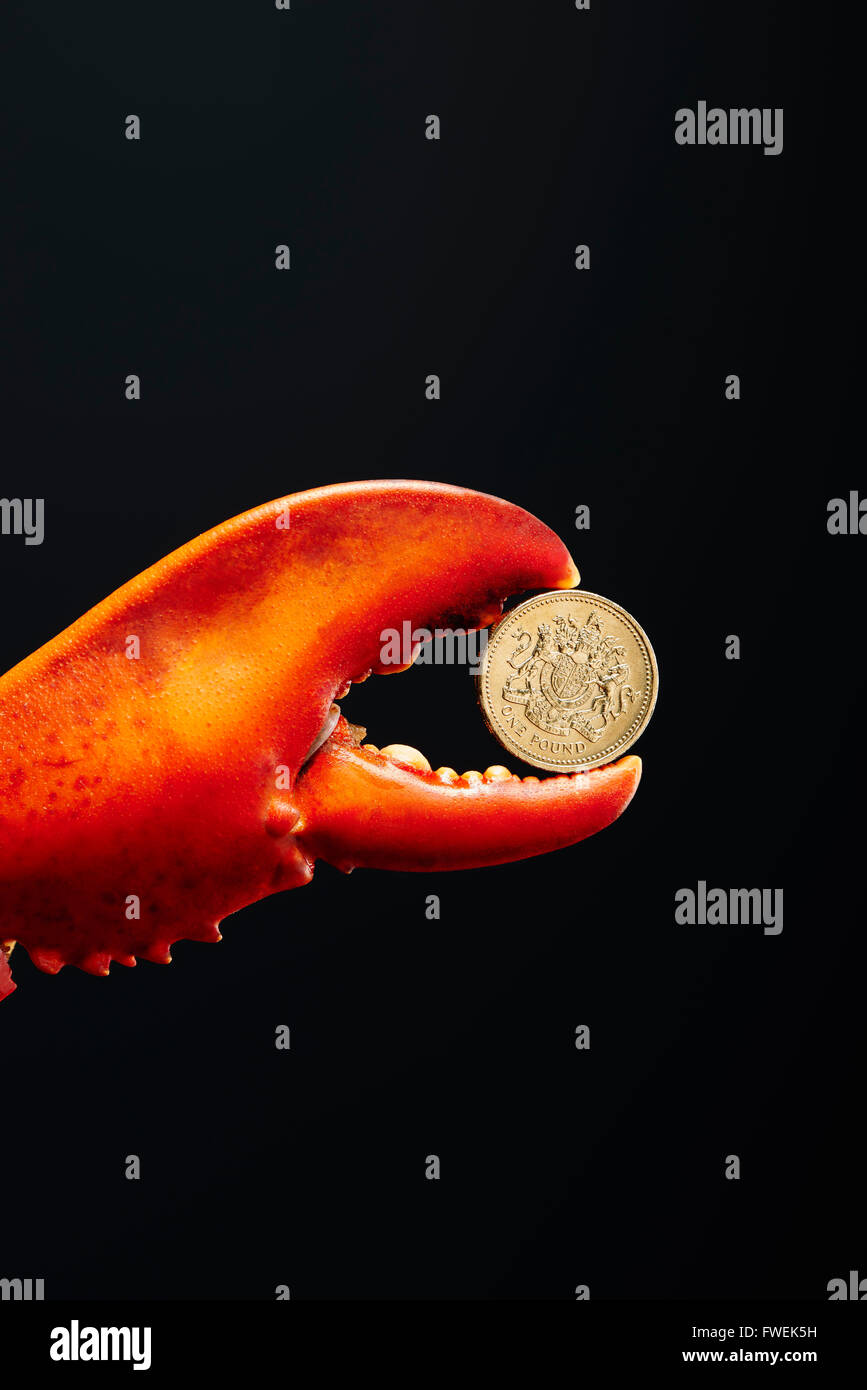 Pound coin in lobster claw Stock Photo