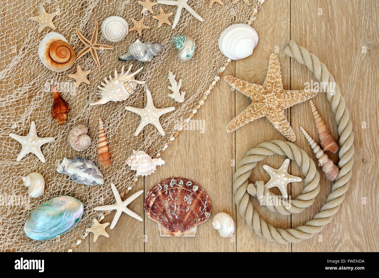 Sea shell abstract background with fishing net and rope on old oak