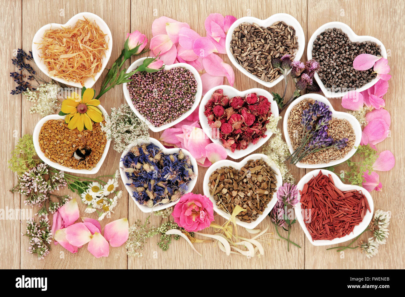 Healing herb and flower selection used in herbal medicine in heart shaped bowls with pollen grain and honey bee. Stock Photo