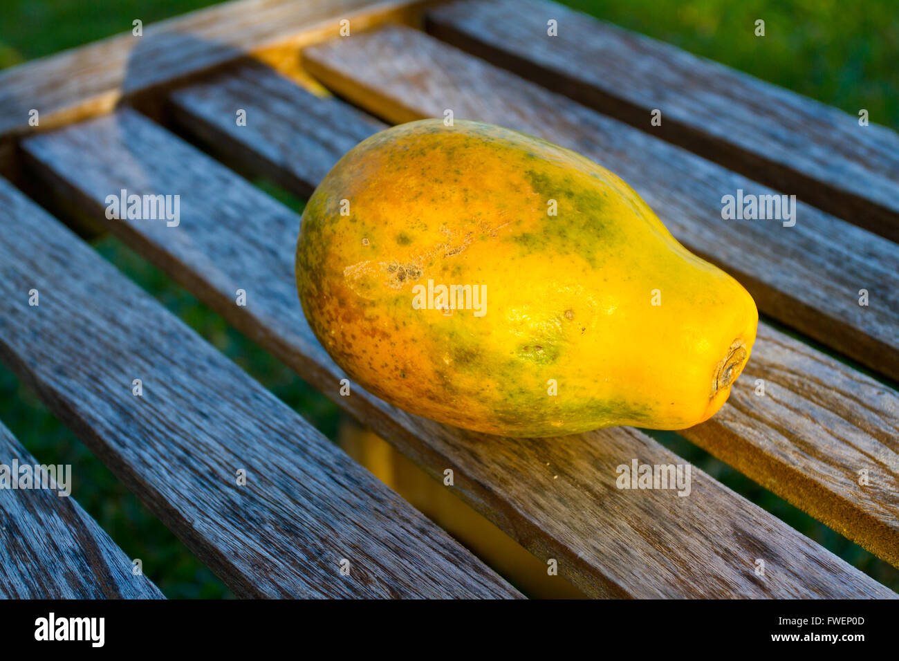 Perfect papayas served in Hawaii are a great tropical fruit to eat for breakfast Stock Photo Alamy