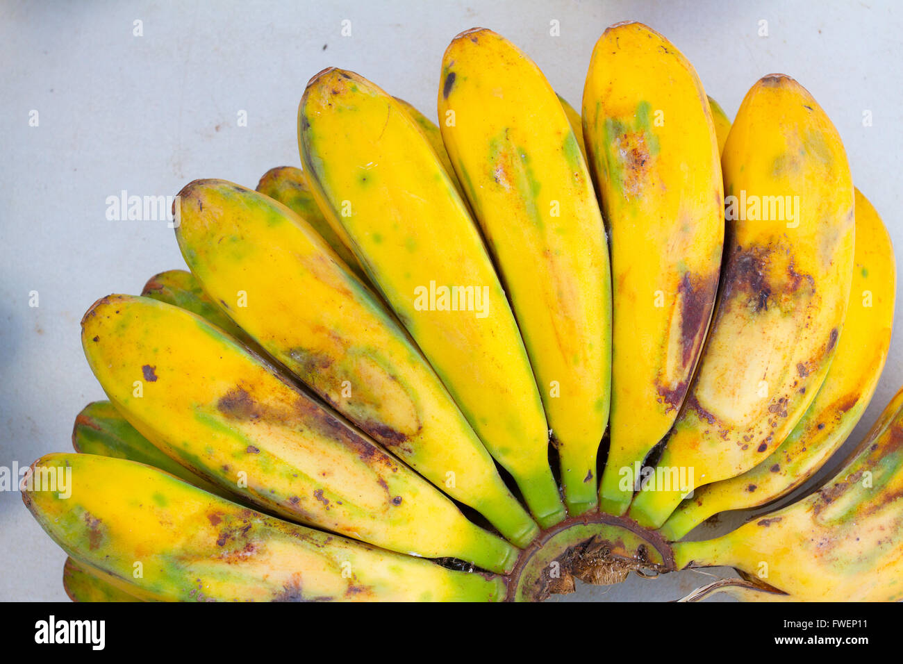 Banana bushel hires stock photography and images Alamy