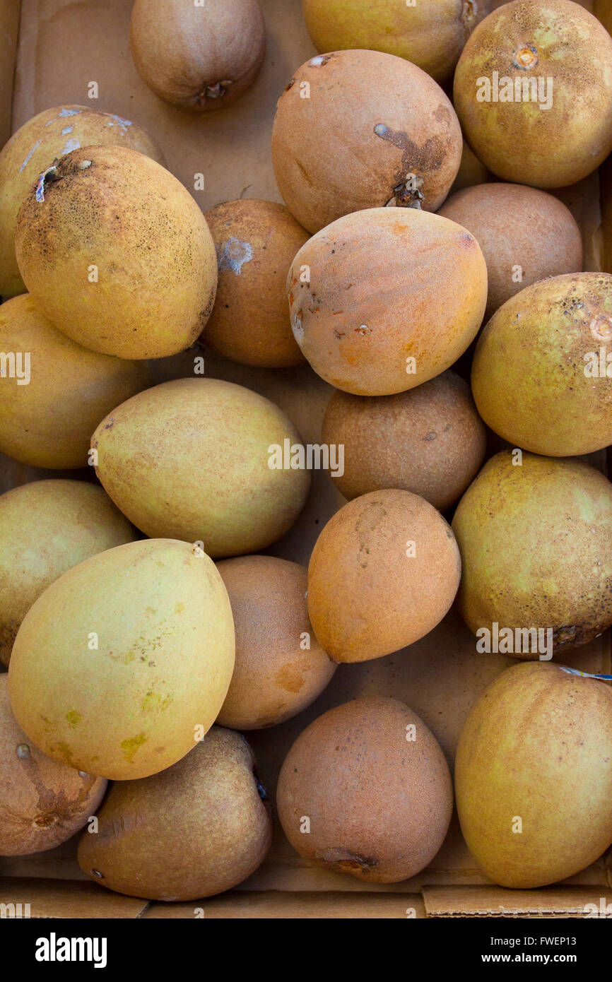 Images from a farmers market in Hawaii showing tropical fruits or vegetables in simple photos