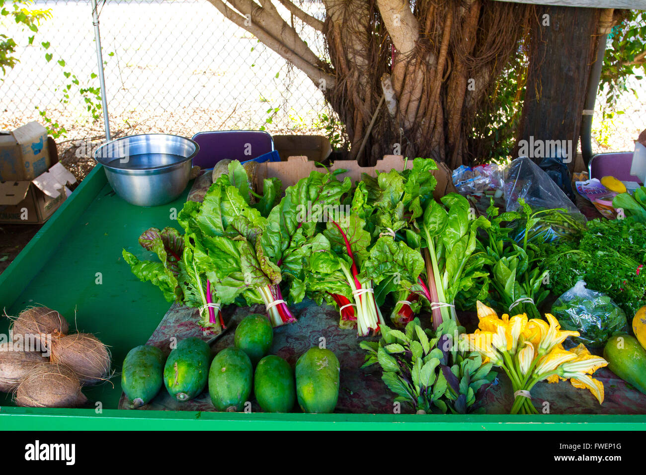 Tropical fruits and veggies hi-res stock photography and images - Alamy