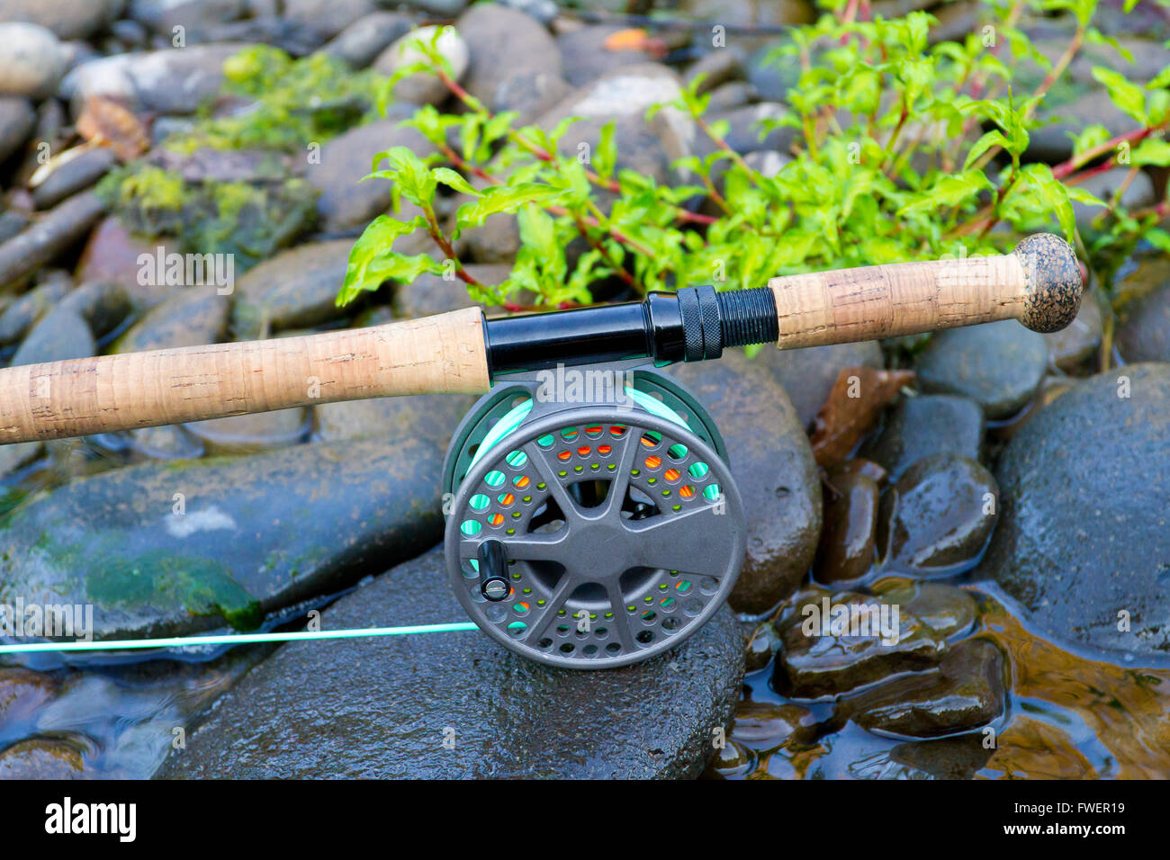A fly fishing rod and reel sit upon some river rock on the edge of the  Willamette River in Oregon Stock Photo - Alamy