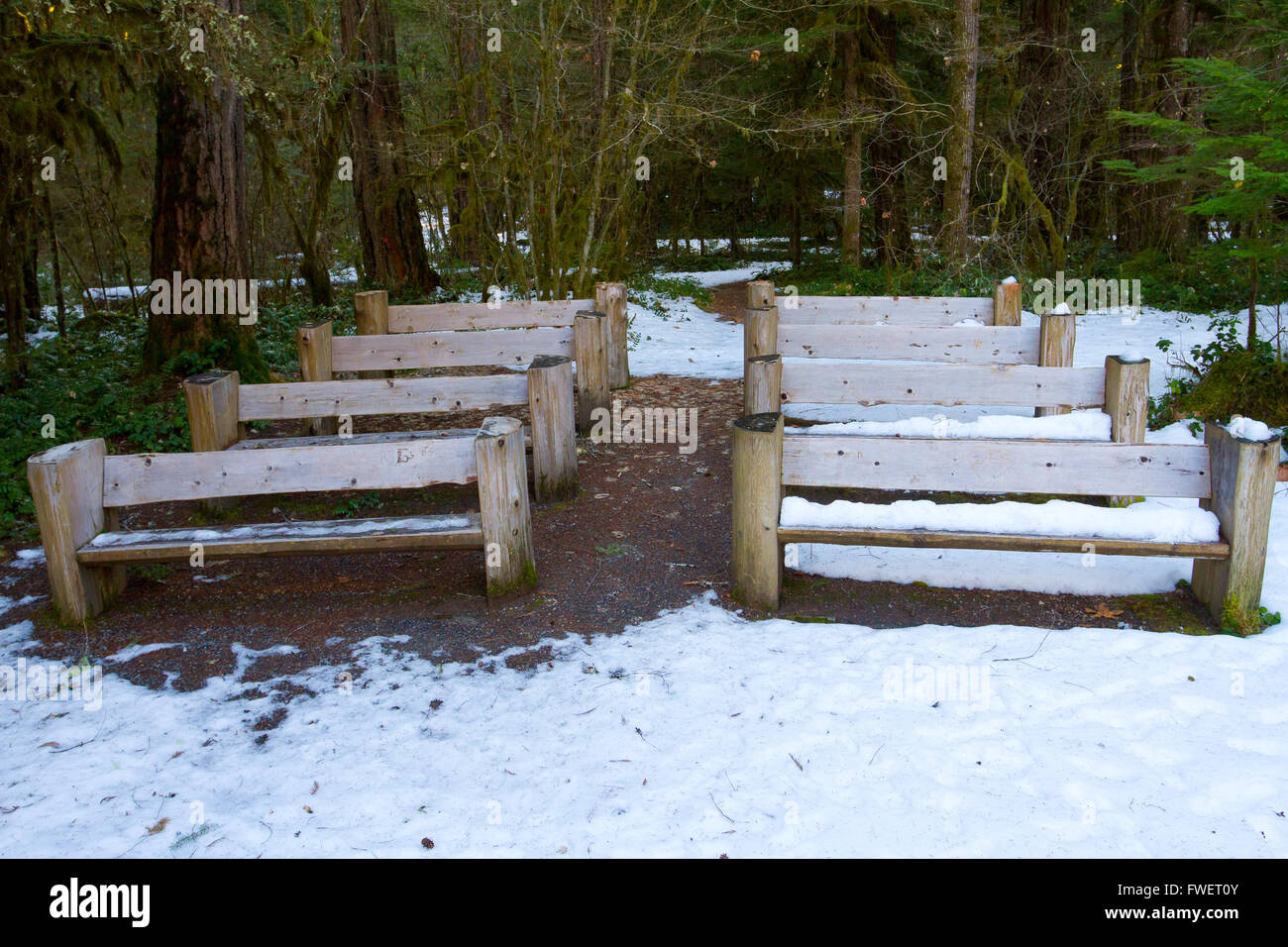 Wooden benches were built by hand and placed in this wooded setting to create an ampitheater with seating. Stock Photo
