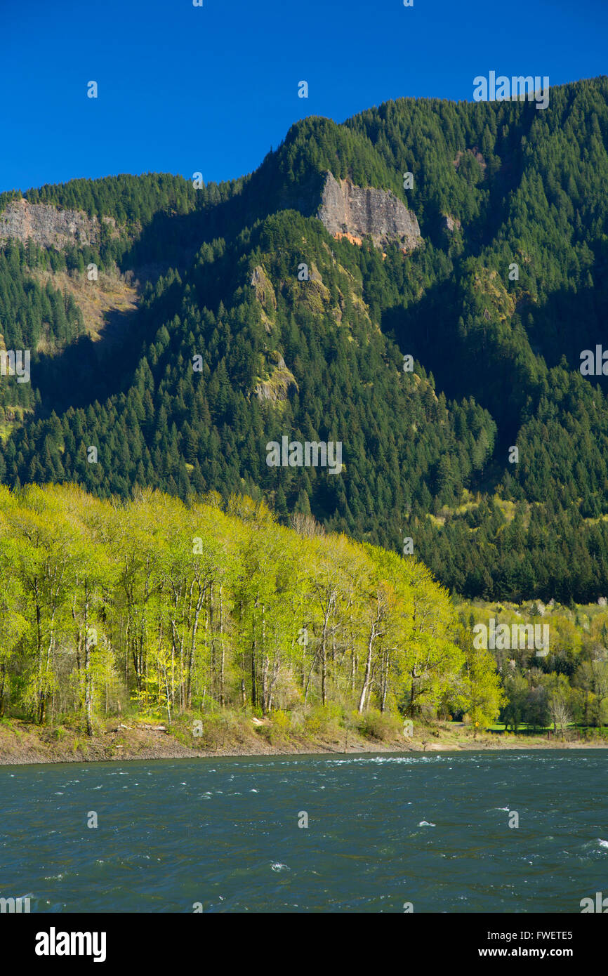 Columbia River, Beacon Rock State Park, Columbia River National Scenic Area, Washington