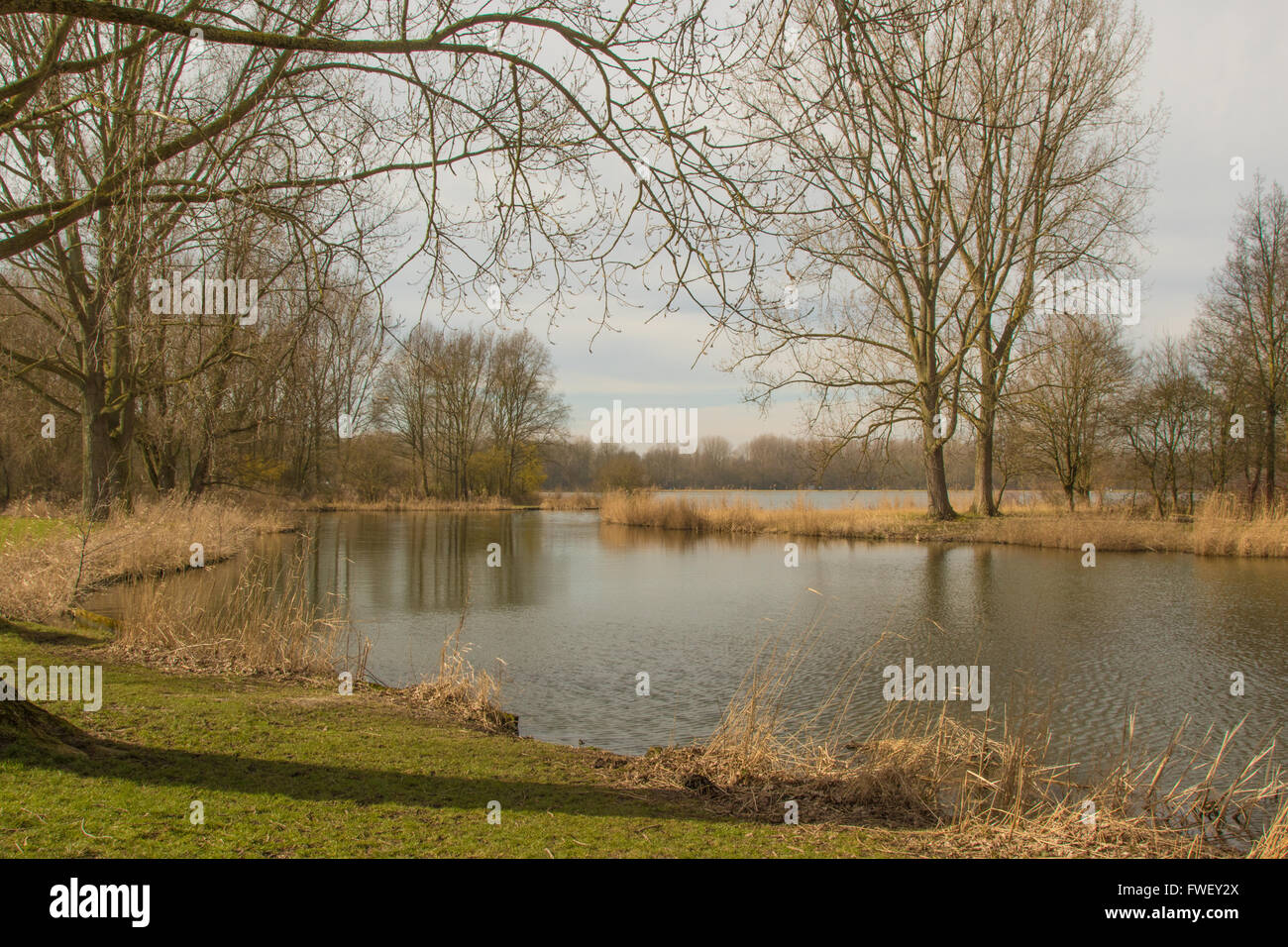 A spring scene in Delftse Hout, The Netherlands Stock Photo - Alamy