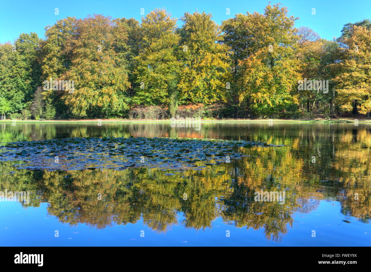Pond with autumn trees on the Veluwe at St. Hubertus Hunting Lodge, Netherlands Stock Photo