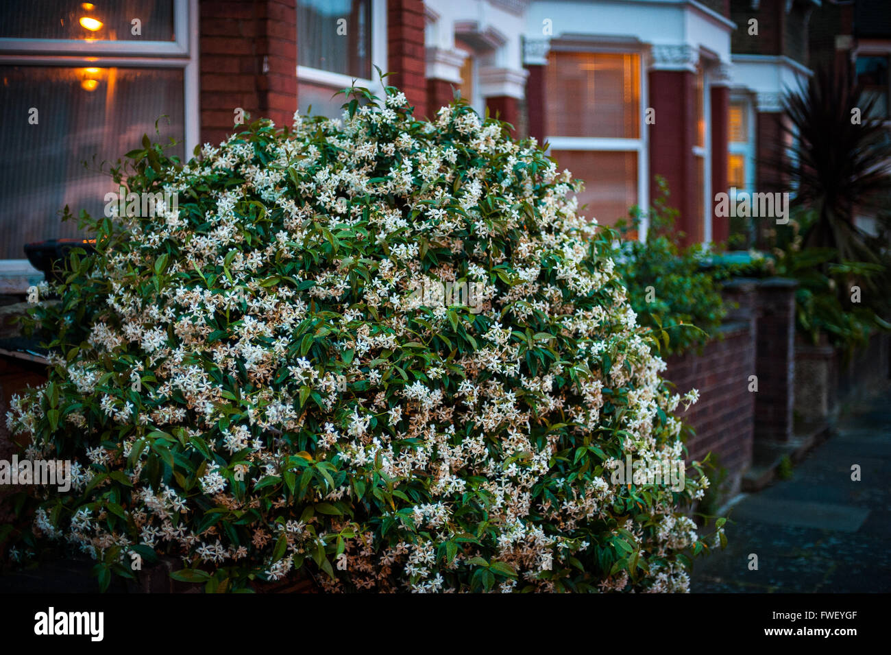 Victorian houses london hires stock photography and images Alamy
