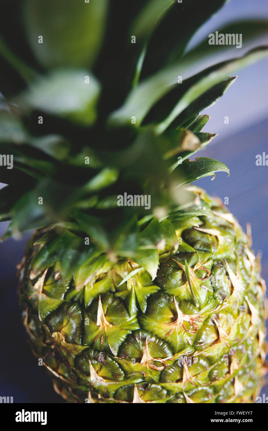 Fresh pineapple on light background hires stock photography and images