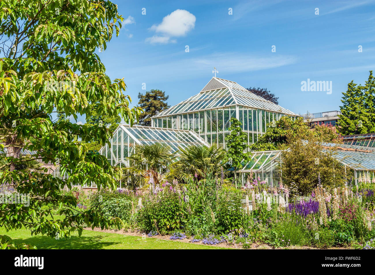 Spring flowers in front of the Glasshouse at the Cambridge University Botanic Garden, England. Stock Photo