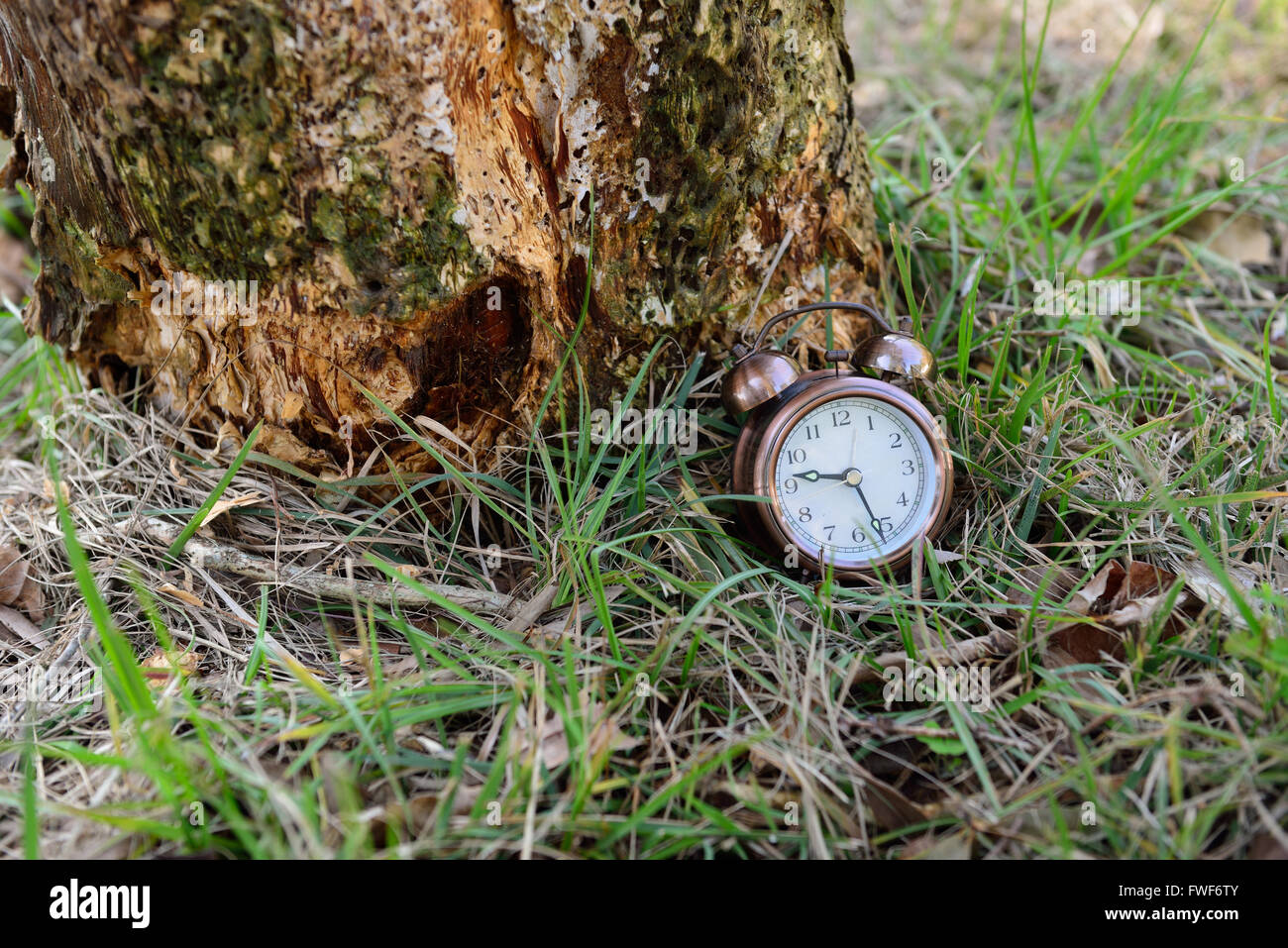 where is your clock Stock Photo - Alamy