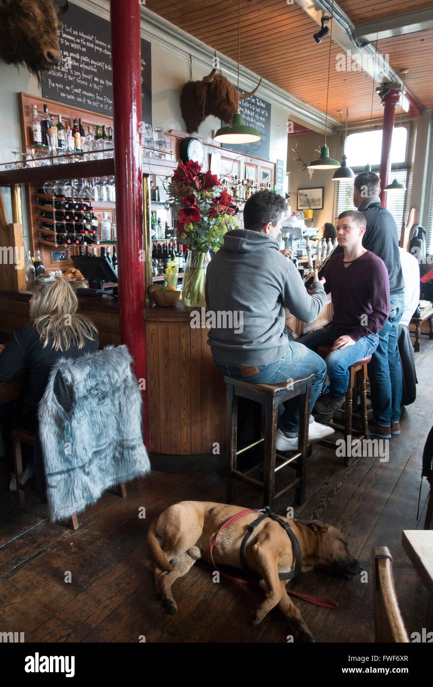 WHAT MIGHT A PUB NAMED THE BULL AND LAST LIKELY BE A REFERENCE TO visual data 8