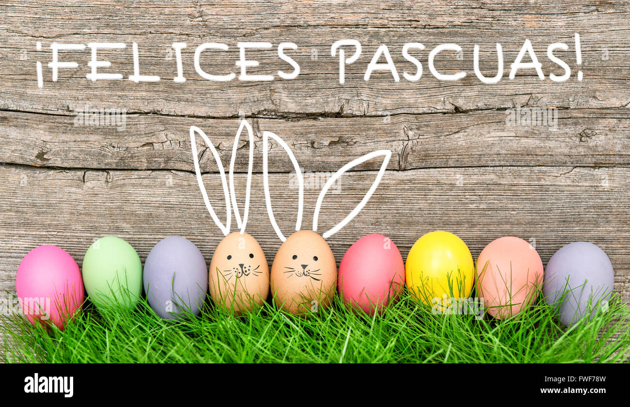 Easter eggs cute bunny. Funny decoration. ¡Felices Pascuas! - Happy Easter in spanish Stock Photo