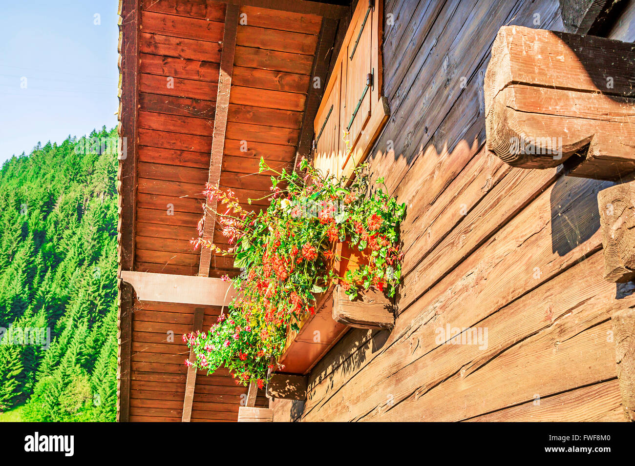 Summer mountain vacation. Wooden cottage with flowers at the window ...