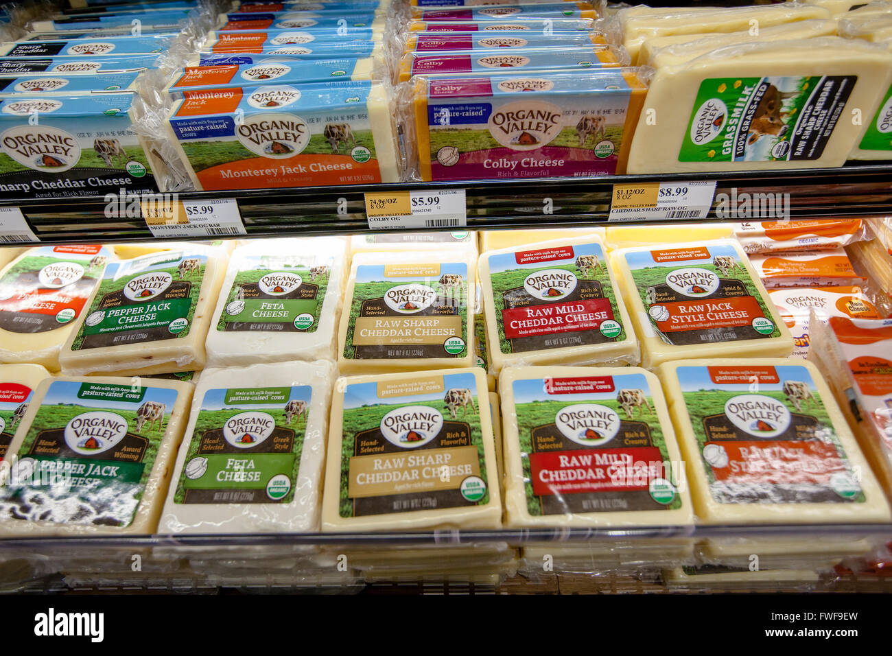Organic Valley brand cheese in a grocery store refrigeration case Stock Photo