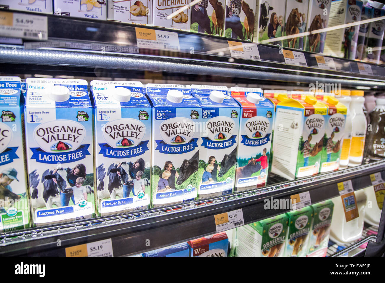 Organic milk displayed in a dairy case at a grocery store Stock Photo