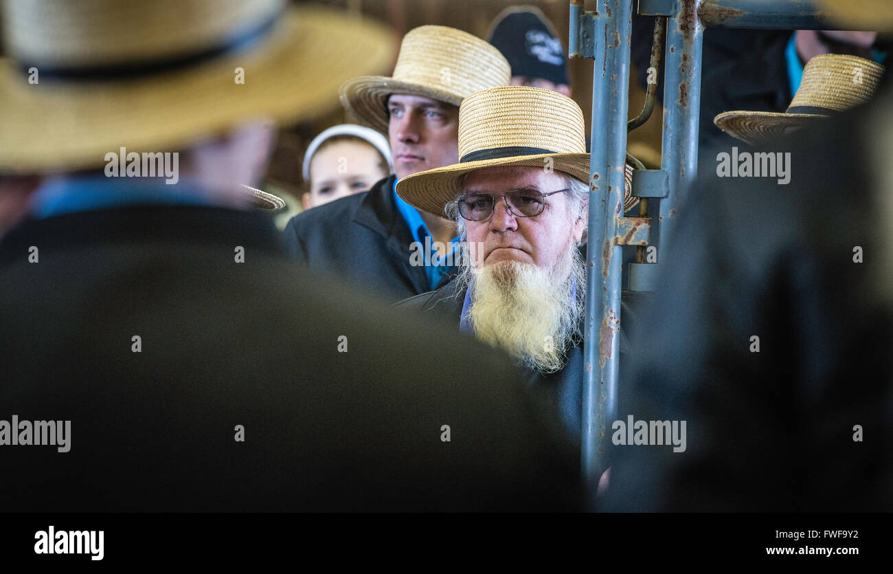 Rawlinsville, PA Amish Mud Sale, held every spring in Lancaster, PA