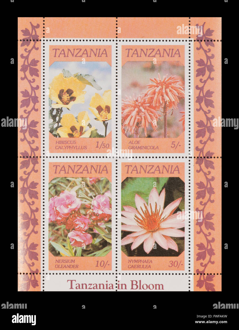 Miniature sheet from Tanzania showing four flowers:  Hibiscus calyphyllus, Aloe graminicola, Nersium oleander, Nymphus caerulea. Stock Photo