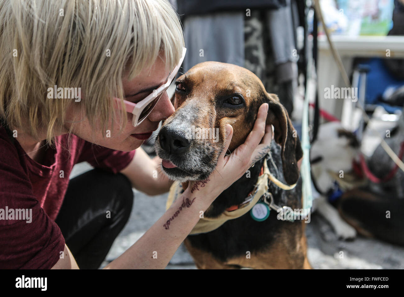 Dog Adoption Event High Resolution Stock Photography And Images Alamy Dog Adoption Event High Resolution Stock Photography And Images Alamy