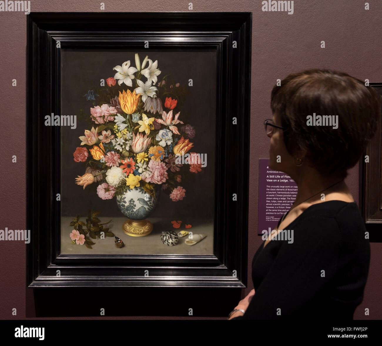National Gallery, London, UK. 5th April, 2016. Betsy Wiseman, Curator of Dutch and Flemish Paintings, examines A Still Life of Flowers in a Wan-Li Vase on a Ledge by Ambrosius Bosschaert the Elder. Coinciding with the Chelsea Flower Show, this exhibition explores Dutch flower painting from the 17th to the late 18th century. Credit:  artsimages/Alamy Live News Stock Photo