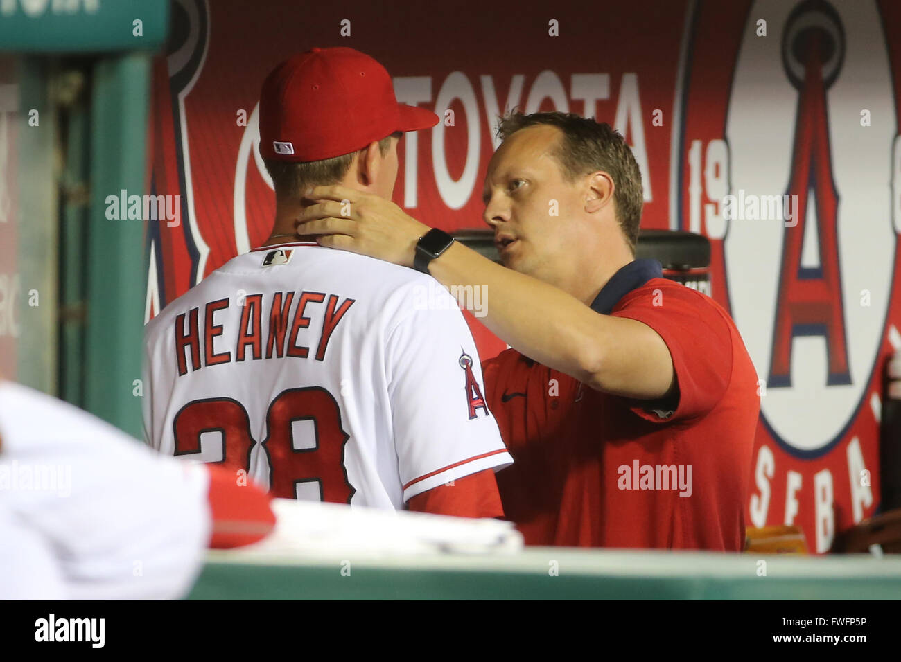 Anaheim, California, USA. 5th April, 2016. April 5, 2016: An Angels trainer helps Los Angeles Angels starting pitcher Andrew Heaney #28 plug a bloody nose in the game between the Chicago Cubs and Los Angeles Angels of Anaheim, Angel Stadium in Anaheim, CA, Photographer: Peter Joneleit Credit:  Cal Sport Media/Alamy Live News Stock Photo