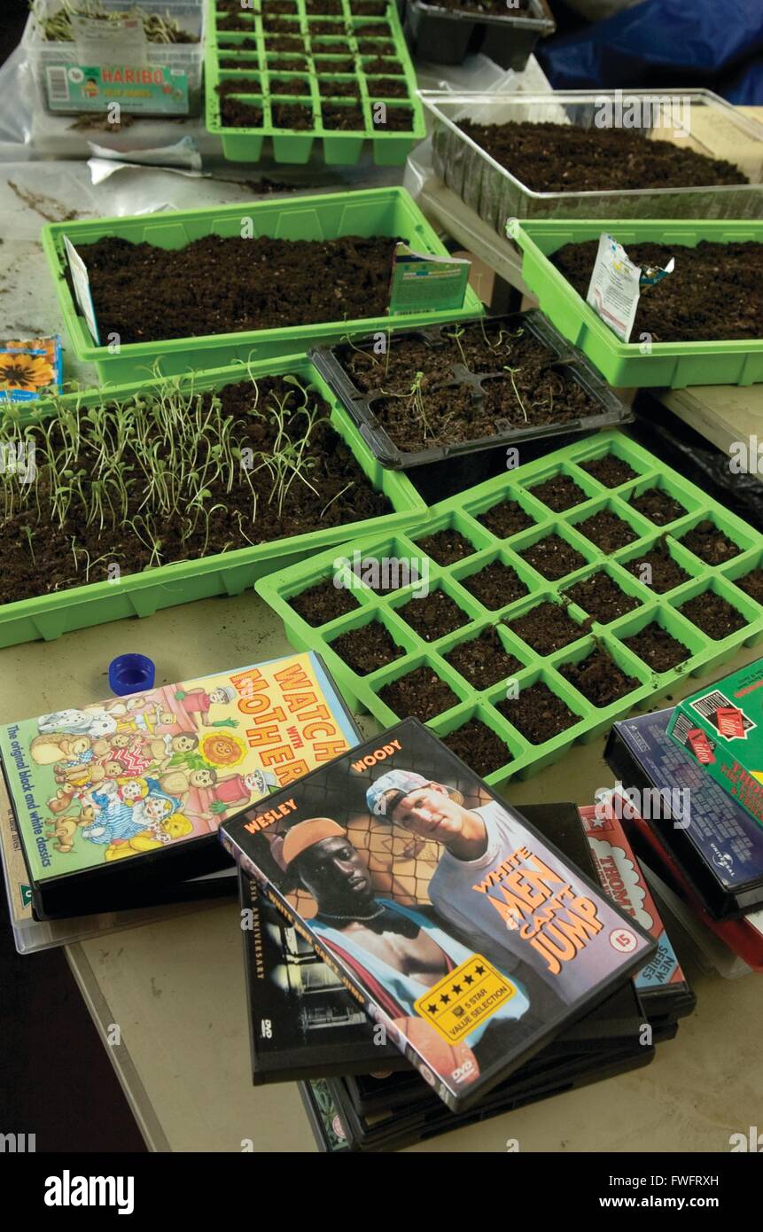 Seedlings grow in green seed trays in the International Aid Trust warehouse, Much Hoole, Preston. The seedlings sit alongside donated goods for their charity shops. Stock Photo