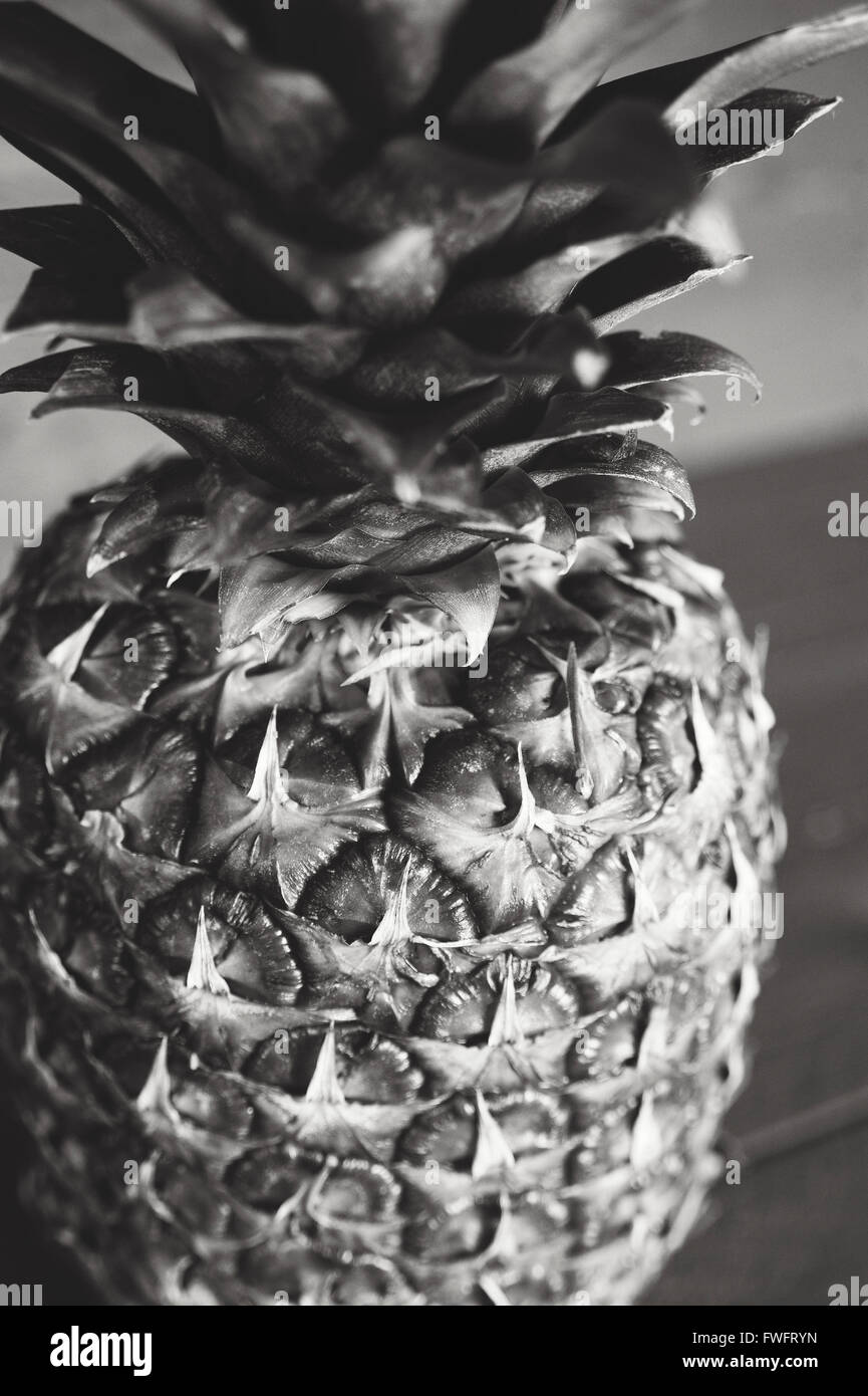 Black and White Photography of a whole pineapple Stock Photo