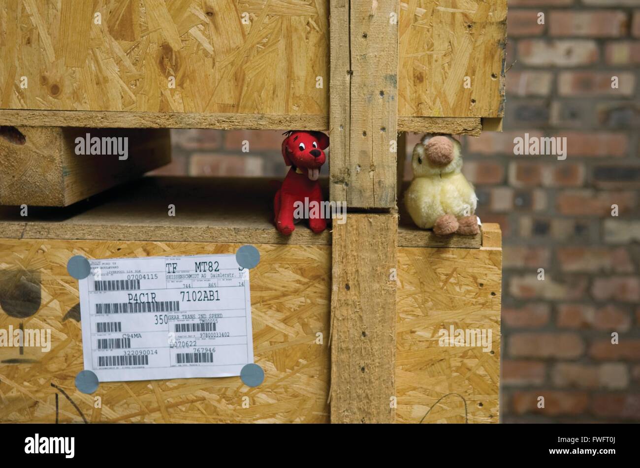 Much Hoole, Preston, Lancashire, UK. A red toy dog and yellow toy duck sit amongst craies in the International Aid Trust Warehouse, waiting to be sent to children in need across the world. Stock Photo