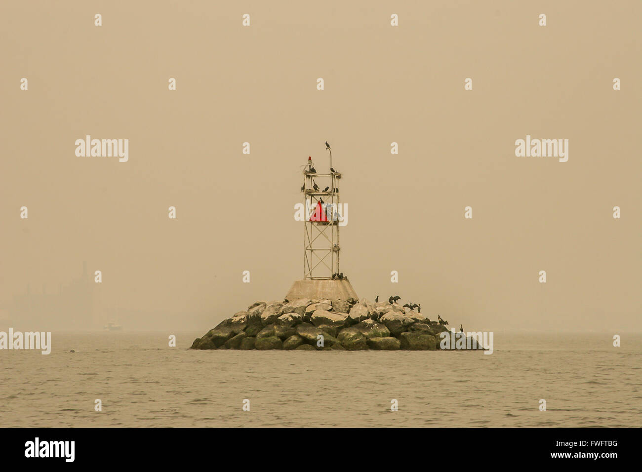 Rock pile with birds on the Raritan Bay Stock Photo Alamy